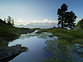 Reiteralm, Dachstein, Enns Valley, Styria, Austria