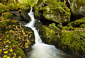 Ysperklamm, Ysperbach, Waldviertel, Lower Austria, Austria