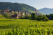 Weißenkirchen on the Danube