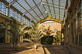 Hibernáculo, crystal palace, architect Josep Amargós, Parc de la Ciutadella, city park, world exhibition 1888, Barcelona, Catalunya, Catalonia, Spain