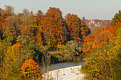 Schwaneck Castle, 19th. century, built by Ludwig von Schwanthaler, Isar river, gravel bank, Autumn, indian summer, Pullach im Isartal, south of Munich, district Munich, Upper Bavaria, Bavaria, Germany, Europe