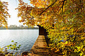 Boat house at lake Wesslinger See in Autumn, indian summer, Starnberg five lakes region, district Starnberg, Bavarian alpine foreland, Upper Bavaria, Bavaria, Germany, Europe