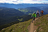 three mountain bikers on a single-trail at Latemar, Trentino Italy