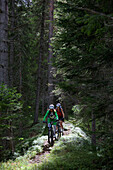 two mountain bikers on a single-trail in the forest, Trentino Italy