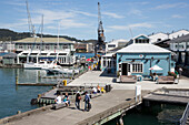 Wellington, North Island, New Zealand