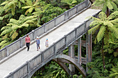 The Bridge to Nowhere, Kanu Trekking auf dem Whanganui River, North Island, Neuseeland