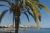 Platja de ses Figueretes, beach, Eivissa, Ibiza, Pityuses, Balearic Islands, Spain, Europe