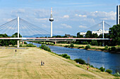 Brücke über den Neckar, Fernsehturm, Mannheim, Baden-Württemberg, Deutschland