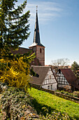 Church and timber framed houses, Laudenbach, Bergstrasse, Baden-Wuerttemberg, Germany