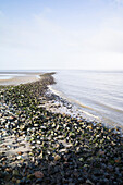 Blick aufs Meer, Cuxhaven, Wattenmeer, Nordsee, Elbemündung, Niedersachsen, Deutschland