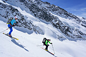 Two persons back-country skiing downhill from Dreiherrnspitze, Dreiherrnspitze, valley of Ahrntal, Hohe Tauern range, South Tyrol, Italy