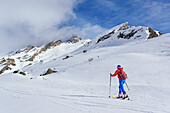 Woman back-country skiing ascending towards Sella d'Asti, Pic d'Asti in the background, Sella d'Asti, Valle Varaita, Cottian Alps, Piedmont, Italy