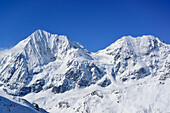 Blick auf Königsspitze und Zebru, von der Vertainspitze, Suldental, Ortlergruppe, Südtirol, Italien