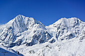 View to Koenigsspitze and Zebru, from Vertainspitze, valley of Sulden, Ortler range, South Tyrol, Italy