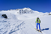 Woman back-country skiing ascending towards Monte Cevedale, Monte Cevedale, valley of Martell, Ortler range, South Tyrol, Italy
