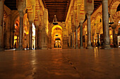 Columns inside the Mezquita in Cordoba, Andalusia, Spain
