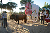 Pilger mit Ochsenkarren auf der Wallfahrt zu Pfingsten zu 'Nuestra Senora de El Rocio' auf dem Pilgerweg La Raya Real von Sevilla nach El Rocio, Huelva, Andalusien, Spanien