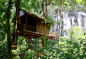 Baumhaushotel: Jungle House am National Park Khao Sok, Surat Thani, Süd- Thailand, Asien
