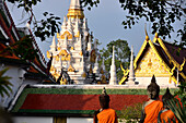 Wat Phra Boromathat near Surat Thani, South-Thailand, Thailand