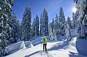 Frau auf Skitour geht durch Winterwald, Hochries, Samerberg, Chiemgauer Alpen, Chiemgau, Oberbayern, Bayern, Deutschland