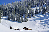 Snow-covered alpine huts with skitracks, Predigtstuhl, Samerberg, Chiemgau range, Chiemgau, Upper Bavaria, Bavaria, Germany