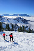 Two persons back-country skiing ascending towards Sonntagshorn, Berchtesgaden range in background, Sonntagshorn, Chiemgau range, Salzburg, Austria