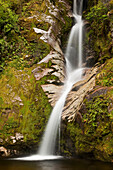 Dorothy Falls, near Lake Kaniere, New Zealand