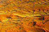 Sand dunes, Namib Desert, Namibia