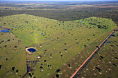 Large area of forest cleared for cattle grazing, Pantanal, Brazil