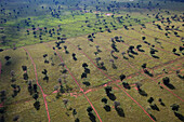 Large area of forest cleared for cattle grazing, Pantanal, Brazil