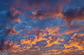 Cumulus clouds at sunset, South Australia, Australia
