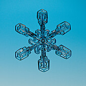 Snowflake seen through microscope