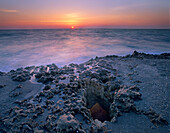 Coast at sunset, Blowing Rocks Beach, Jupiter Island, Florida