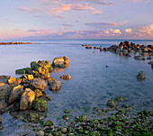 Coastal rocks, Bahia Honda Key, Florida