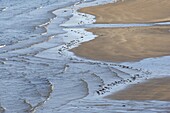 Waves on the beach, Varangerfjord, Norway