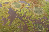 Aerial of saltmarshes in estuary, Land van Saeftinghe, Netherlands