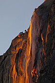 Horsetail Fall, low sun angle lights the rock wall during sundown creating a firefall, Yosemite National Park, California