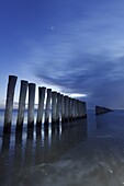 Old pier pilings at night, Hollum, Netherlands