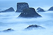 Nearshore sea stacks in fog, Snaefellsnes Peninsula, Iceland