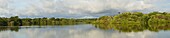 Flooded forest, Amazon River, Rio Negro, Brazil