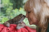 Brown-throated Three-toed Sloth (Bradypus variegatus) orphan with Judy Avey- Arroyo, owner of the Aviarios Sloth Sanctuary, Costa Rica