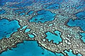 Coral formations on Hardy Reef, Great Barrier Reef, Queensland, Australia