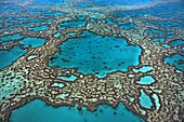 Coral formations on Hardy Reef, Great Barrier Reef, Queensland, Australia