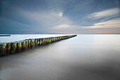 Groynes on a Baltic beach beach in the evening, Dierhagen, Mecklenburg Vorpommern, Germany