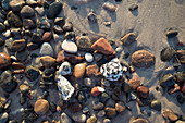 Colorful pebbles on a Baltic sea beach, Dierhagen, Mecklenburg Vorpommern, Germany