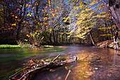 Herbstlicher Wald und Meander der Würm, Gauting, Bayern, Deutschland