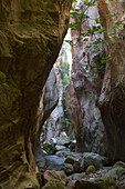 narrow walls in the Avakas gorge, Akamas peninsula, Paphos distict, Cyprus