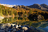 Lake Saoseo (2028 m) with Scima di Saoseo (3264 m), Cima da Rugiul (2987 m) und Piz dal Teo (3049 m), Valposchiavo, Grisons, Switzerland
