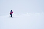 Eine junge Frau geht auf Tourenski durch eine tief verschneite Landschaft, Urho Kekkonen Nationalpark, finnisch Lappland, Finnland