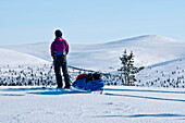 Eine Frau auf Ski mit Pulka betrachtet die Hügel des Urho Kekkonen Nationalparks, finnisch Lappland, Finnland